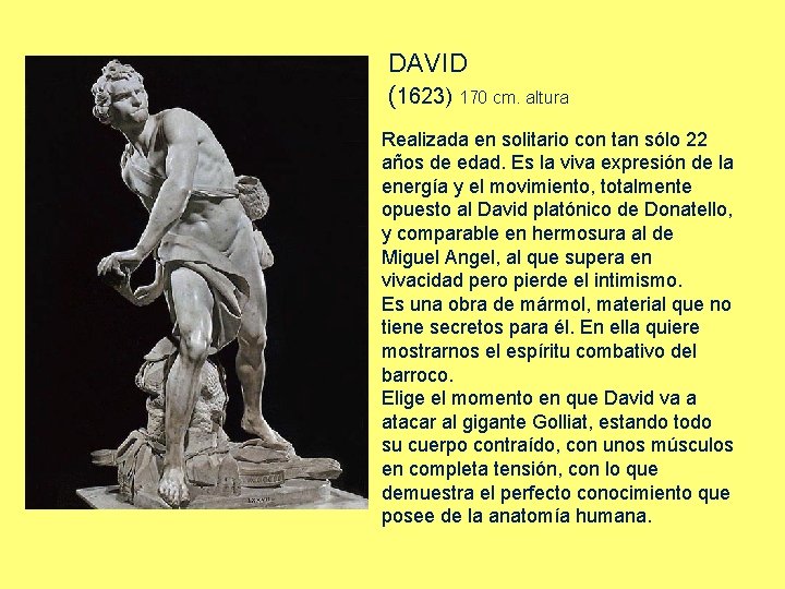 DAVID (1623) 170 cm. altura Realizada en solitario con tan sólo 22 años de