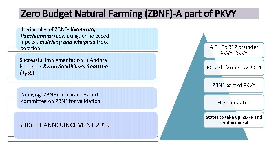 Zero Budget Natural Farming (ZBNF)-A part of PKVY 4 principles of ZBNF- Jivamruta, Panchamruta