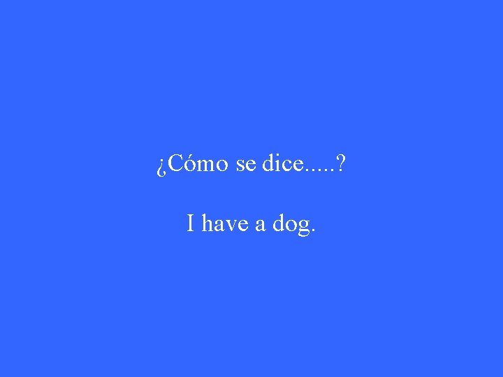 ¿Cómo se dice. . . ? I have a dog. 