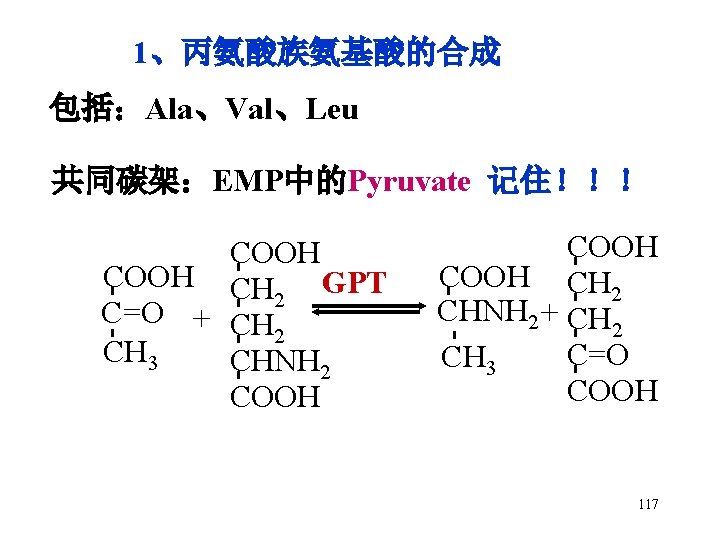 1、丙氨酸族氨基酸的合成 包括：Ala、Val、Leu 共同碳架：EMP中的Pyruvate 记住！！！ - - - COOH CH 2 CHNH 2 + CH