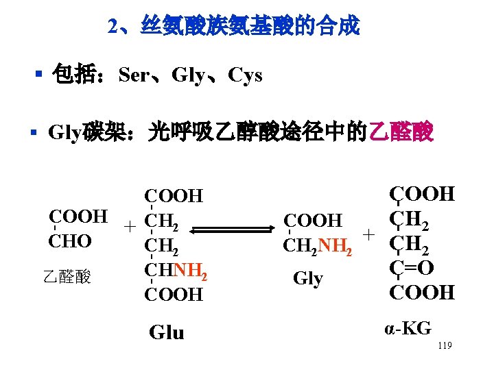 2、丝氨酸族氨基酸的合成 § 包括：Ser、Gly、Cys § Gly碳架：光呼吸乙醇酸途径中的乙醛酸 - - Glu COOH CH 2 COOH + CH