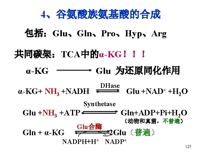 4、谷氨酸族氨基酸的合成 包括：Glu、Gln、Pro、Hyp、Arg 共同碳架：TCA中的α-KG！！！ α-KG Glu 为还原同化作用 α-KG+ NH 3 +NADH DHase Glu +NAD+ +H