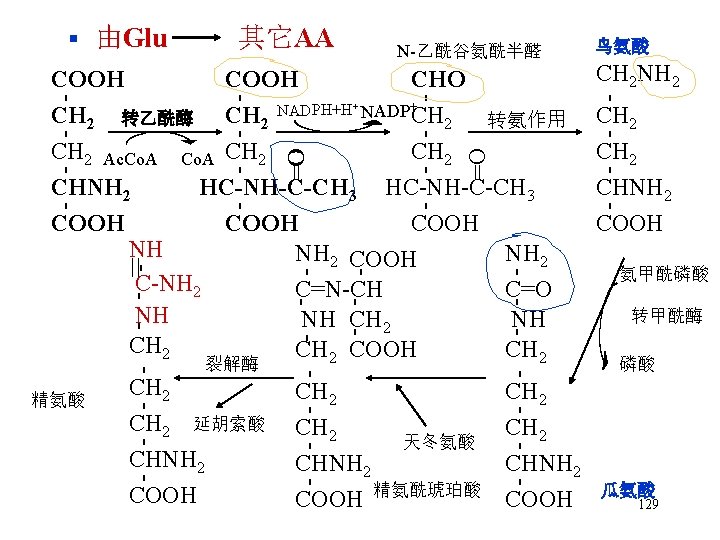 § 由Glu 其它AA N-乙酰谷氨酰半醛 COOH - - - - - 氨甲酰磷酸 转甲酰酶 磷酸 -
