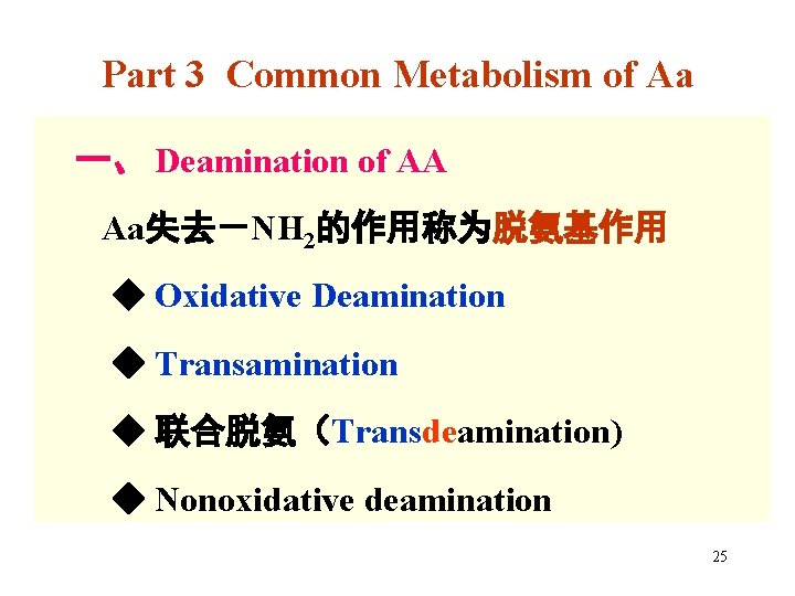 Part 3 Common Metabolism of Aa 一、 Deamination of AA Aa失去－NH 2的作用称为脱氨基作用 ◆ Oxidative