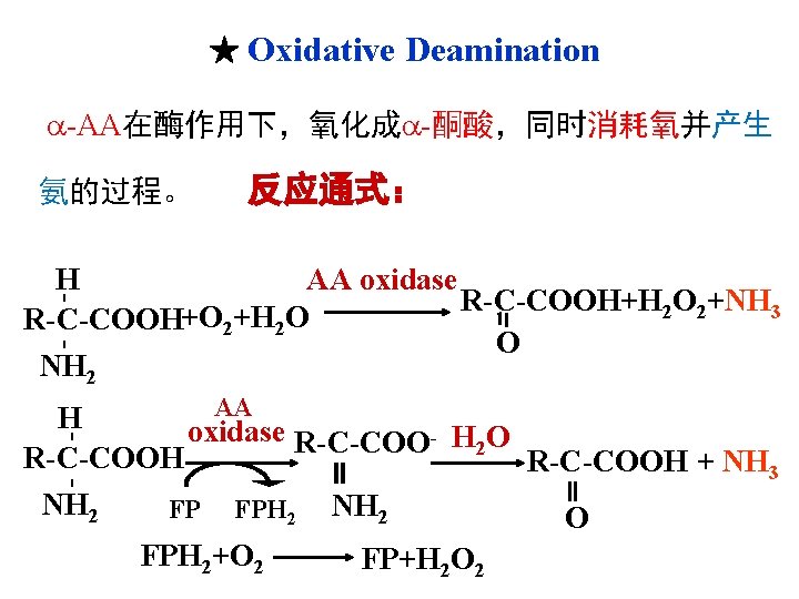 ★ Oxidative Deamination -AA在酶作用下，氧化成 -酮酸，同时消耗氧并产生 氨的过程。 反应通式： - H AA oxidase R-C-COOH+H 2 O