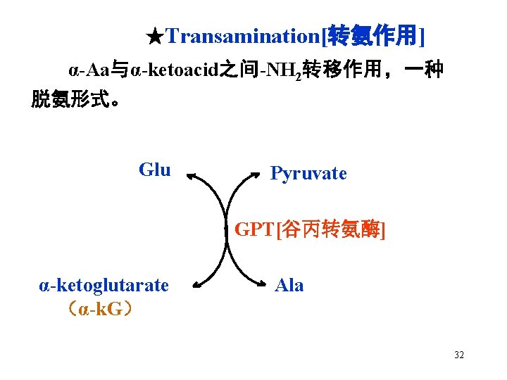 ★Transamination[转氨作用] α-Aa与α-ketoacid之间-NH 2转移作用，一种 脱氨形式。 Glu Pyruvate GPT[谷丙转氨酶] α-ketoglutarate （α-k. G） Ala 32 