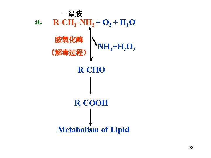 a. 一级胺 R-CH 2 -NH 2 + O 2 + H 2 O 胺氧化酶