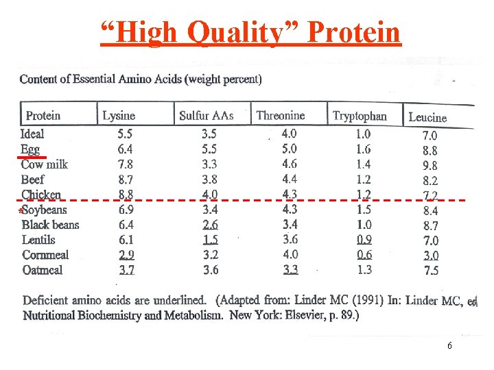 “High Quality” Protein * 6 