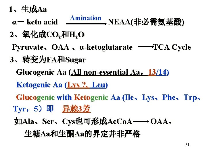 1、生成Aa α－ keto acid Amination NEAA(非必需氨基酸) 2、氧化成CO 2和H 2 O Pyruvate、OAA 、α-ketoglutarate TCA Cycle