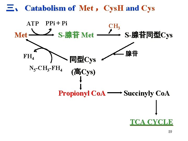 三、 Catabolism of Met ，Cys. H and Cys ATP Met PPi + Pi CH