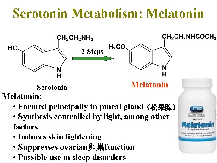 Serotonin Metabolism: Melatonin 2 Steps Serotonin Melatonin: • Formed principally in pineal gland（松果腺） •