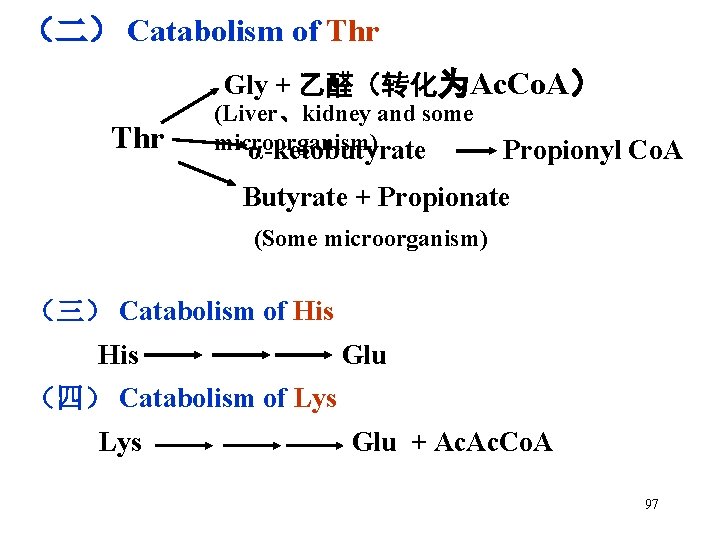 （二） Catabolism of Thr Gly + 乙醛（转化为Ac. Co. A） Thr (Liver、kidney and some microorganism)