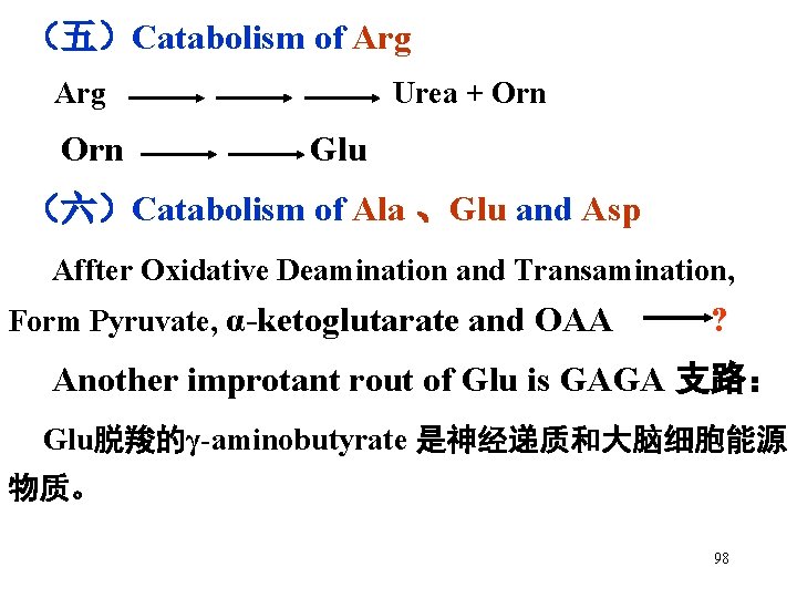 （五）Catabolism of Arg Orn Urea + Orn Glu （六）Catabolism of Ala 、Glu and Asp