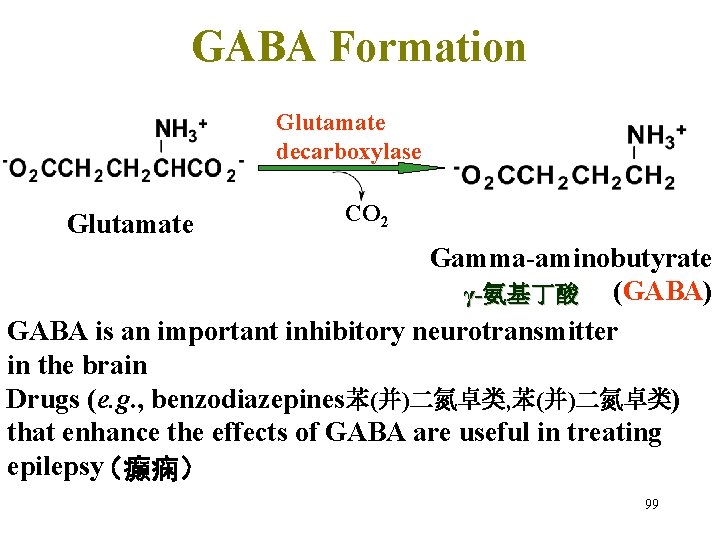 GABA Formation Glutamate decarboxylase Glutamate CO 2 Gamma-aminobutyrate γ-氨基丁酸 (GABA) GABA is an important