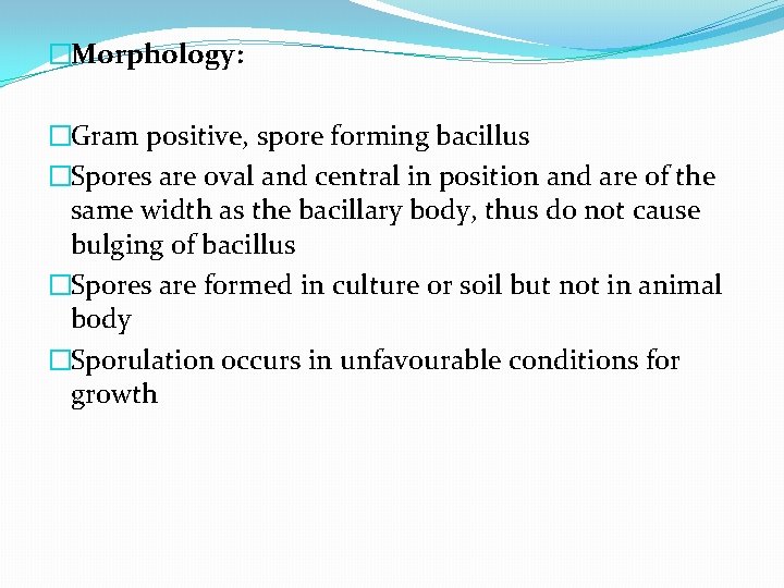 �Morphology: �Gram positive, spore forming bacillus �Spores are oval and central in position and