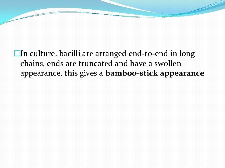 �In culture, bacilli are arranged end-to-end in long chains, ends are truncated and have