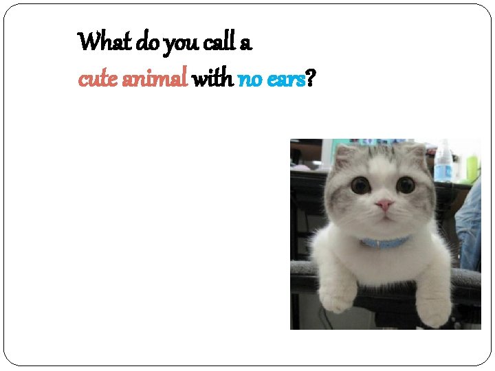 What do you call a cute animal with no ears? 귀없다 