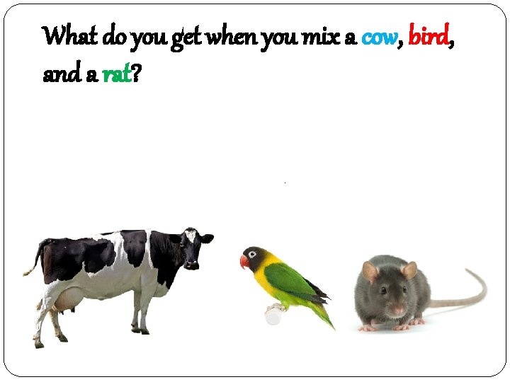 What do you get when you mix a cow, bird, and a rat? 소새쥐