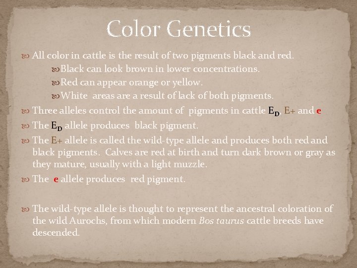 Color Genetics All color in cattle is the result of two pigments black and