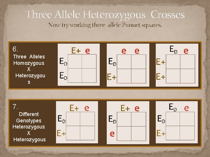Three Allele Heterozygous Crosses Now try working three allele Punnet squares. 6. Three Alleles
