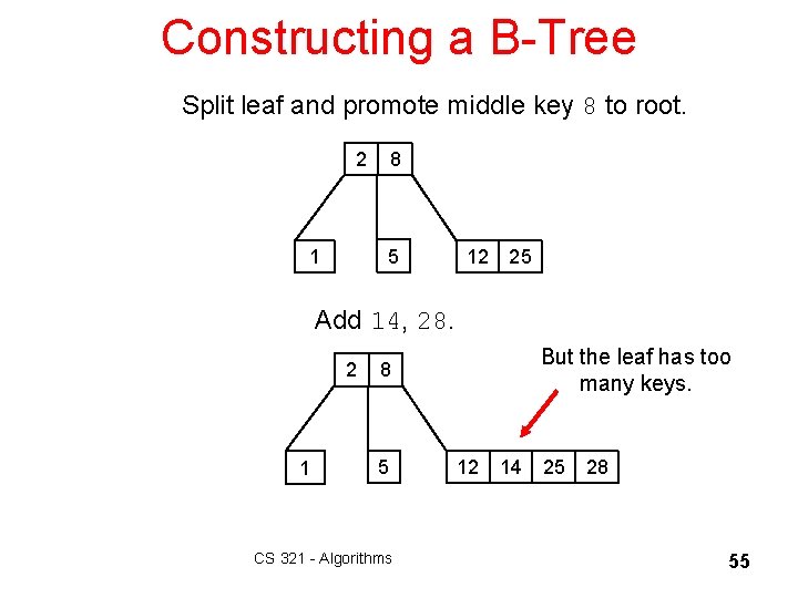 Constructing a B-Tree Split leaf and promote middle key 8 to root. 2 8