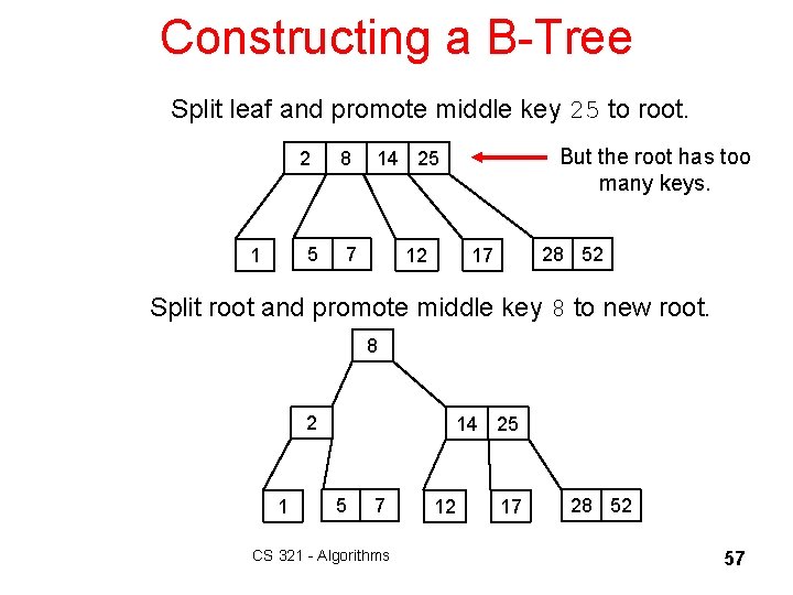 Constructing a B-Tree Split leaf and promote middle key 25 to root. 2 5
