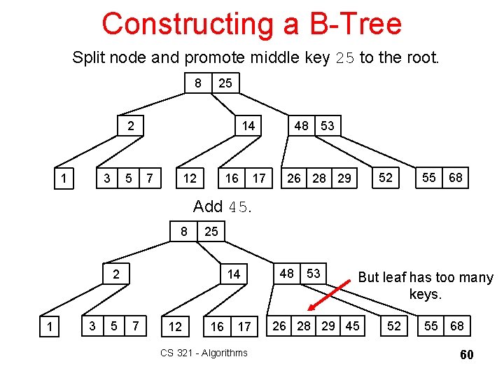 Constructing a B-Tree Split node and promote middle key 25 to the root. 8