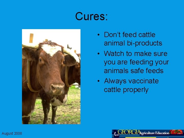 Cures: • Don’t feed cattle animal bi-products • Watch to make sure you are