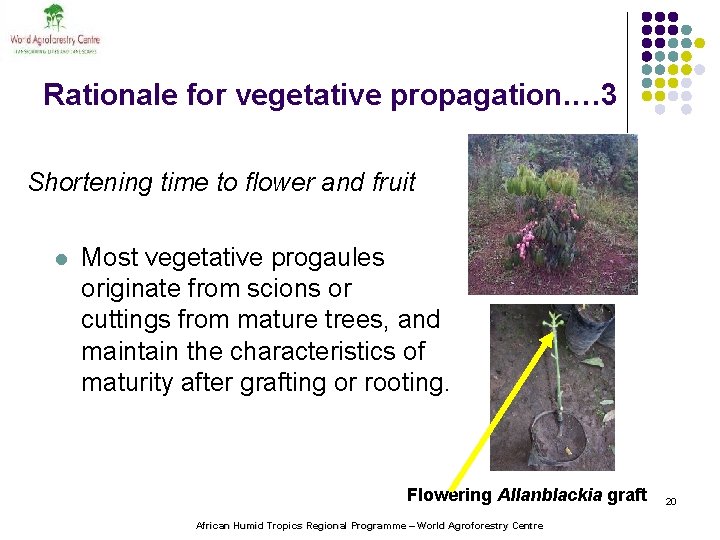 Rationale for vegetative propagation. … 3 Shortening time to flower and fruit l Most