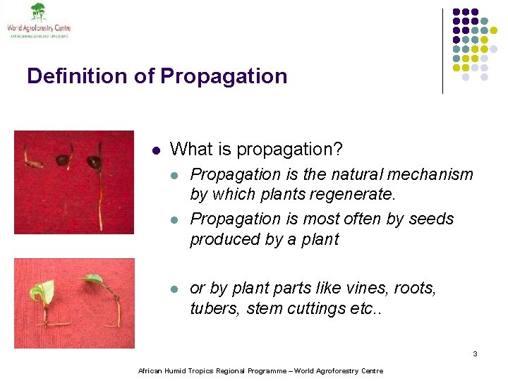 Definition of Propagation l What is propagation? l l l Propagation is the natural