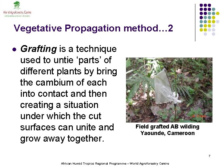 Vegetative Propagation method… 2 l Grafting is a technique used to untie ‘parts’ of