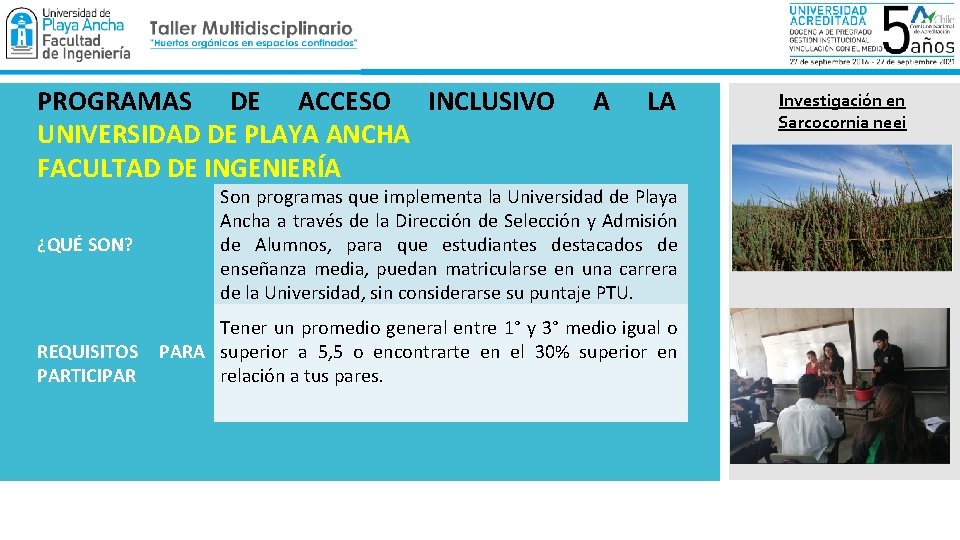 PROGRAMAS DE ACCESO INCLUSIVO UNIVERSIDAD DE PLAYA ANCHA FACULTAD DE INGENIERÍA ¿QUÉ SON? A