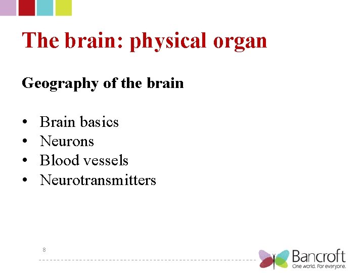 The brain: physical organ Geography of the brain • • Brain basics Neurons Blood