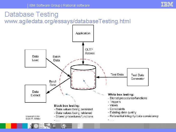 IBM Software Group | Rational software Database Testing www. agiledata. org/essays/database. Testing. html 