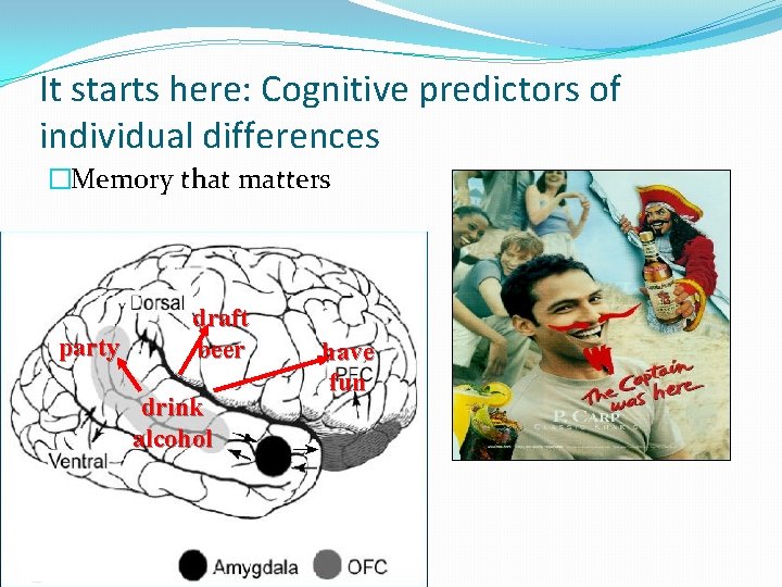 It starts here: Cognitive predictors of individual differences �Memory that matters party draft beer It starts here: Cognitive predictors of individual differences �Memory that matters party draft beer