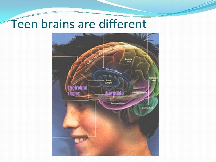 Teen brains are different Teen brains are different
