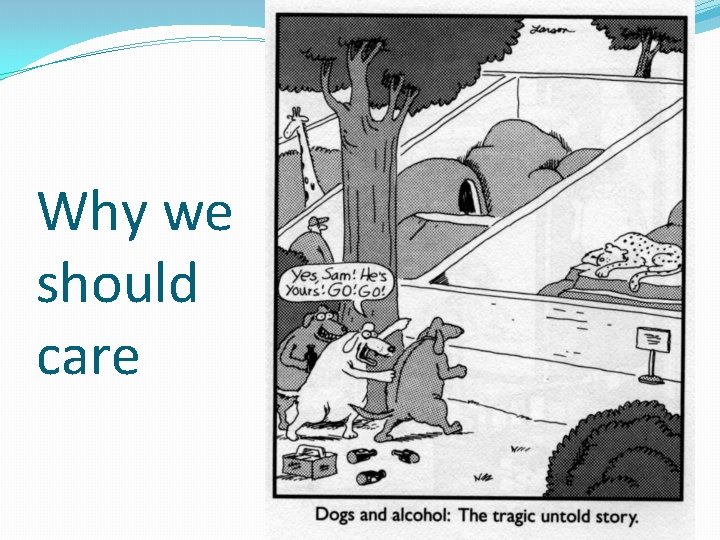 Why we should care Why we should care