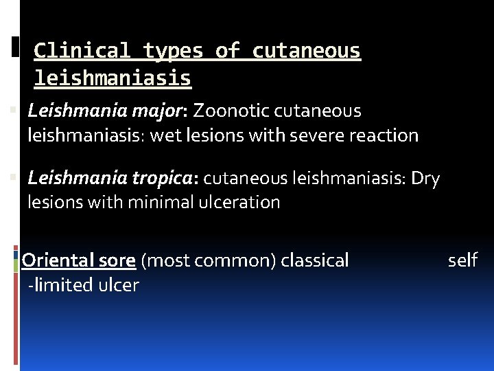 Clinical types of cutaneous leishmaniasis Leishmania major: Zoonotic cutaneous leishmaniasis: wet lesions with severe