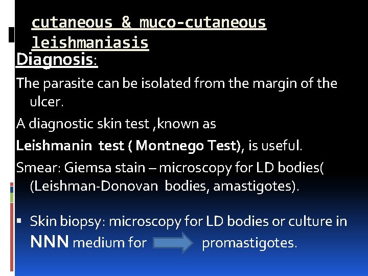 cutaneous & muco-cutaneous leishmaniasis Diagnosis: The parasite can be isolated from the margin of