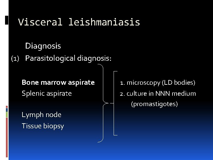 Visceral leishmaniasis Diagnosis (1) Parasitological diagnosis: Bone marrow aspirate Splenic aspirate Lymph node Tissue