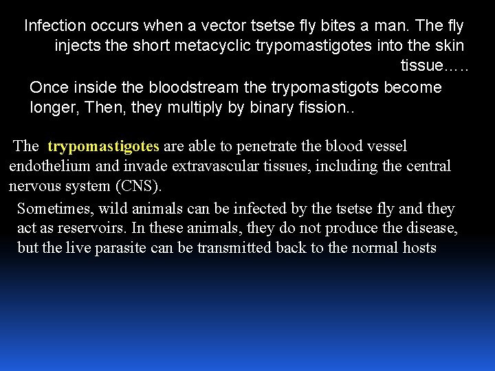 Infection occurs when a vector tsetse fly bites a man. The fly injects the