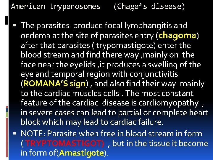 American trypanosomes (Chaga’s disease) The parasites produce focal lymphangitis and oedema at the site