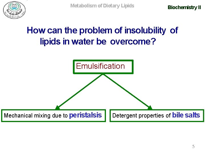 Metabolism of Dietary Lipids Biochemistry II How can the problem of insolubility of lipids