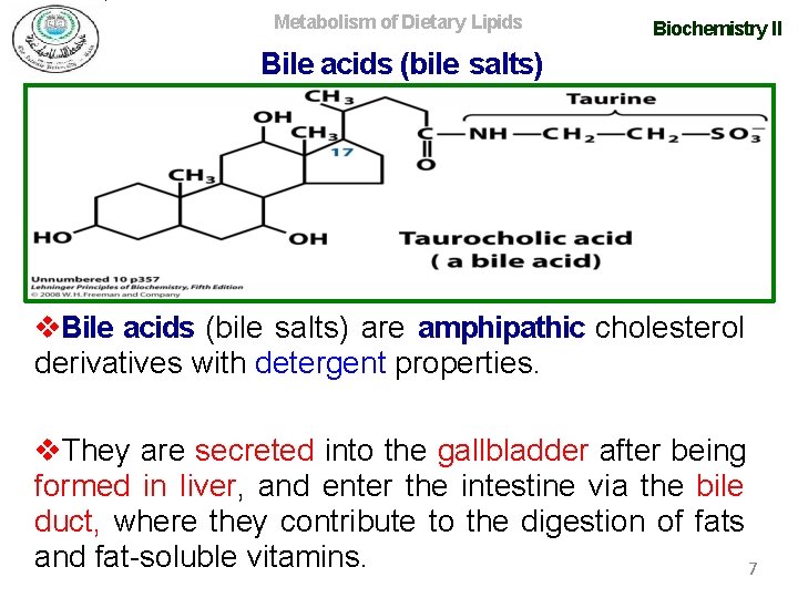 Metabolism of Dietary Lipids Biochemistry II Bile acids (bile salts) are amphipathic cholesterol derivatives