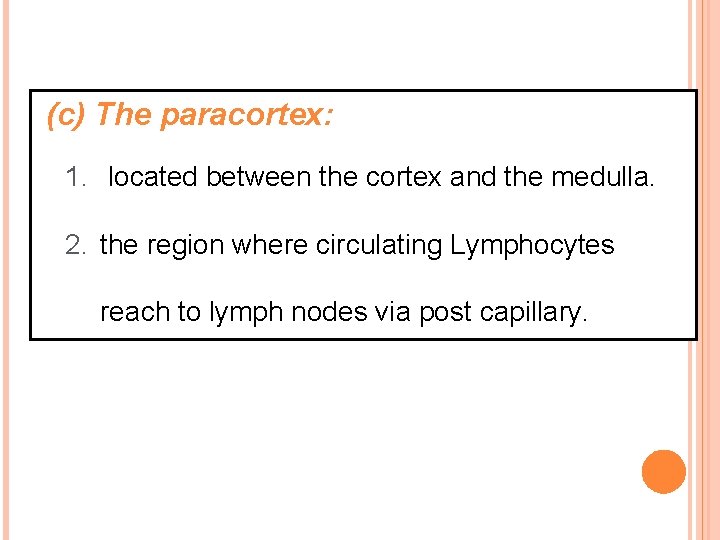 (c) The paracortex: 1. located between the cortex and the medulla. 2. the region
