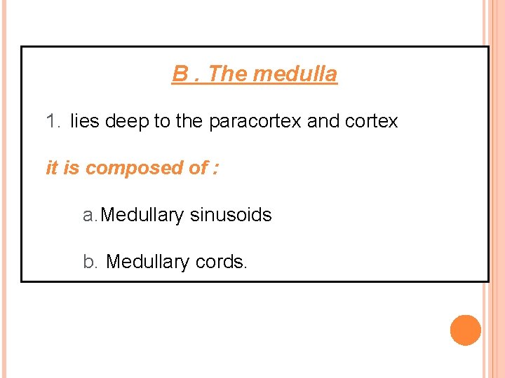 B. The medulla 1. lies deep to the paracortex and cortex it is composed