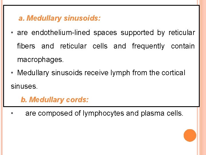 a. Medullary sinusoids: • are endothelium-lined spaces supported by reticular fibers and reticular cells