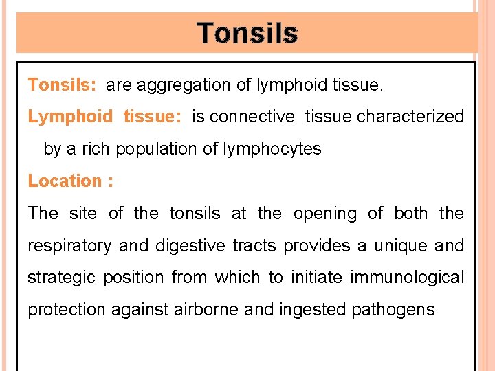 Tonsils: are aggregation of lymphoid tissue. Lymphoid tissue: is connective tissue characterized by a