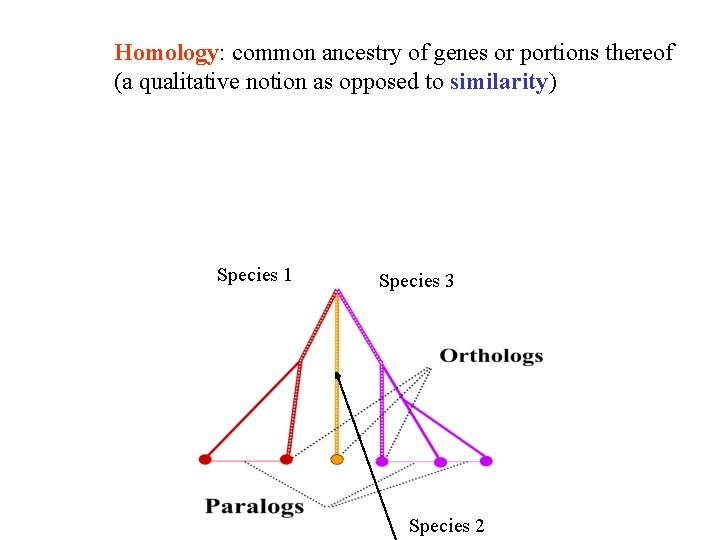 Homology: common ancestry of genes or portions thereof (a qualitative notion as opposed to