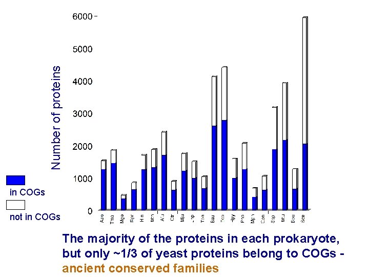 Number of proteins in COGs not in COGs The majority of the proteins in